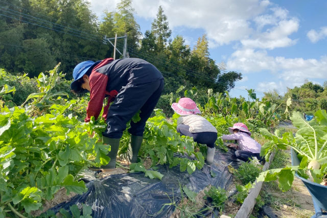市民交流収穫祭