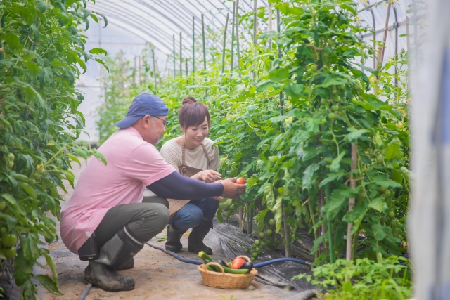 栽培指導・施設リース