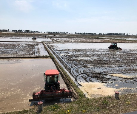 東京ドーム22個分の農地