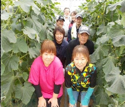 きゅうりの仲間たち