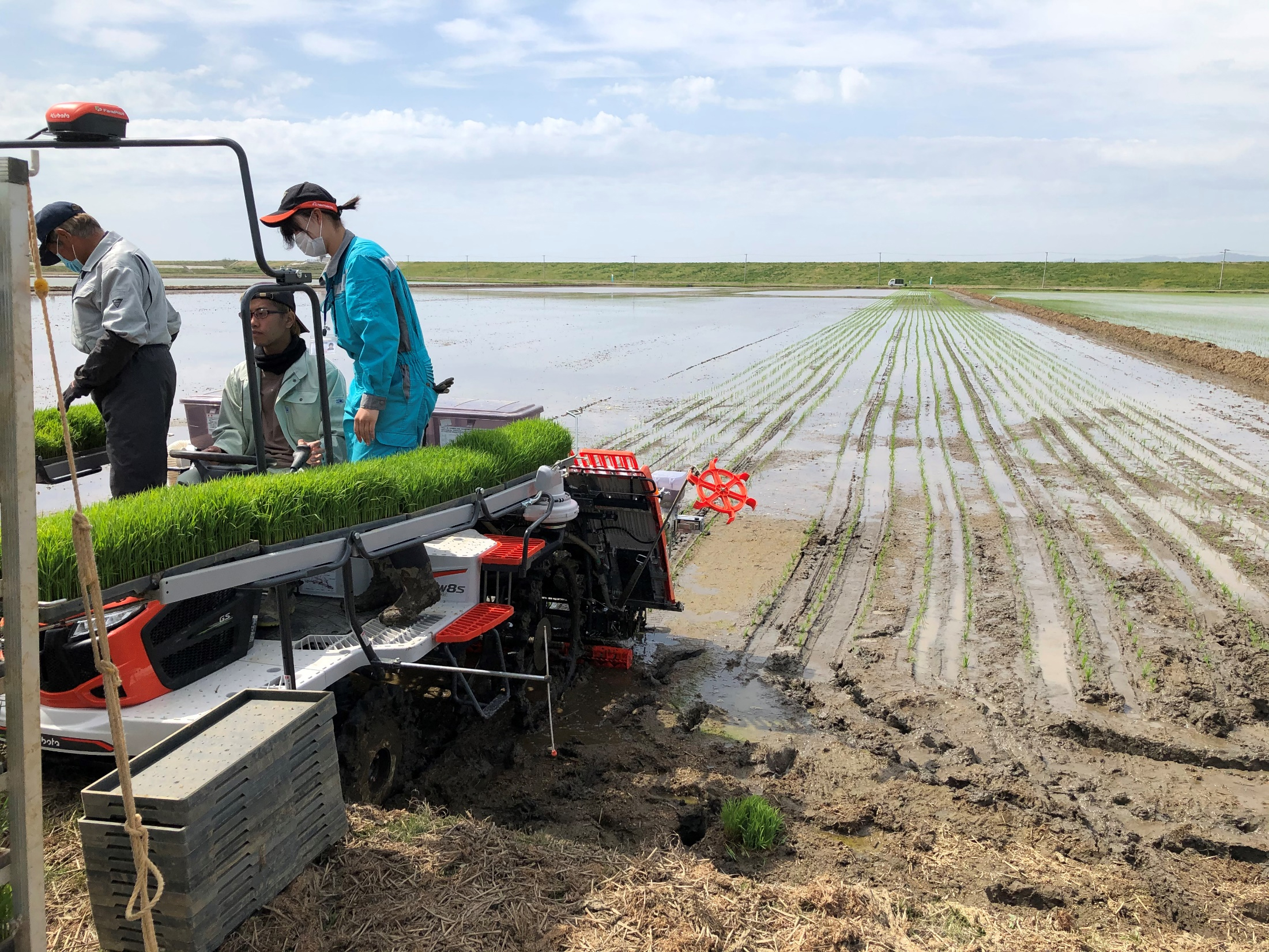 経験豊富な技術者が指導